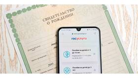 Как прописать ребенка в квартиру через Госуслуги в Юничел