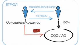 Как рассчитать долю участия в ООО в Юничел