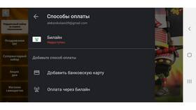 Как вернуть деньги за ошибочный платеж в Билайн в Юничел