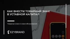 Как внести вклад в уставный капитал в Юничел