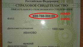 Как выглядит СНИЛС ребенка в 2025 году в Юничел