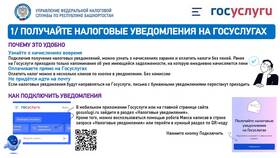Почему не приходят уведомления с Госуслуг в Юничел