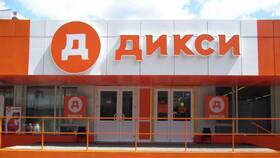 Сколько торговых марок у сети Дикси в Юничел
